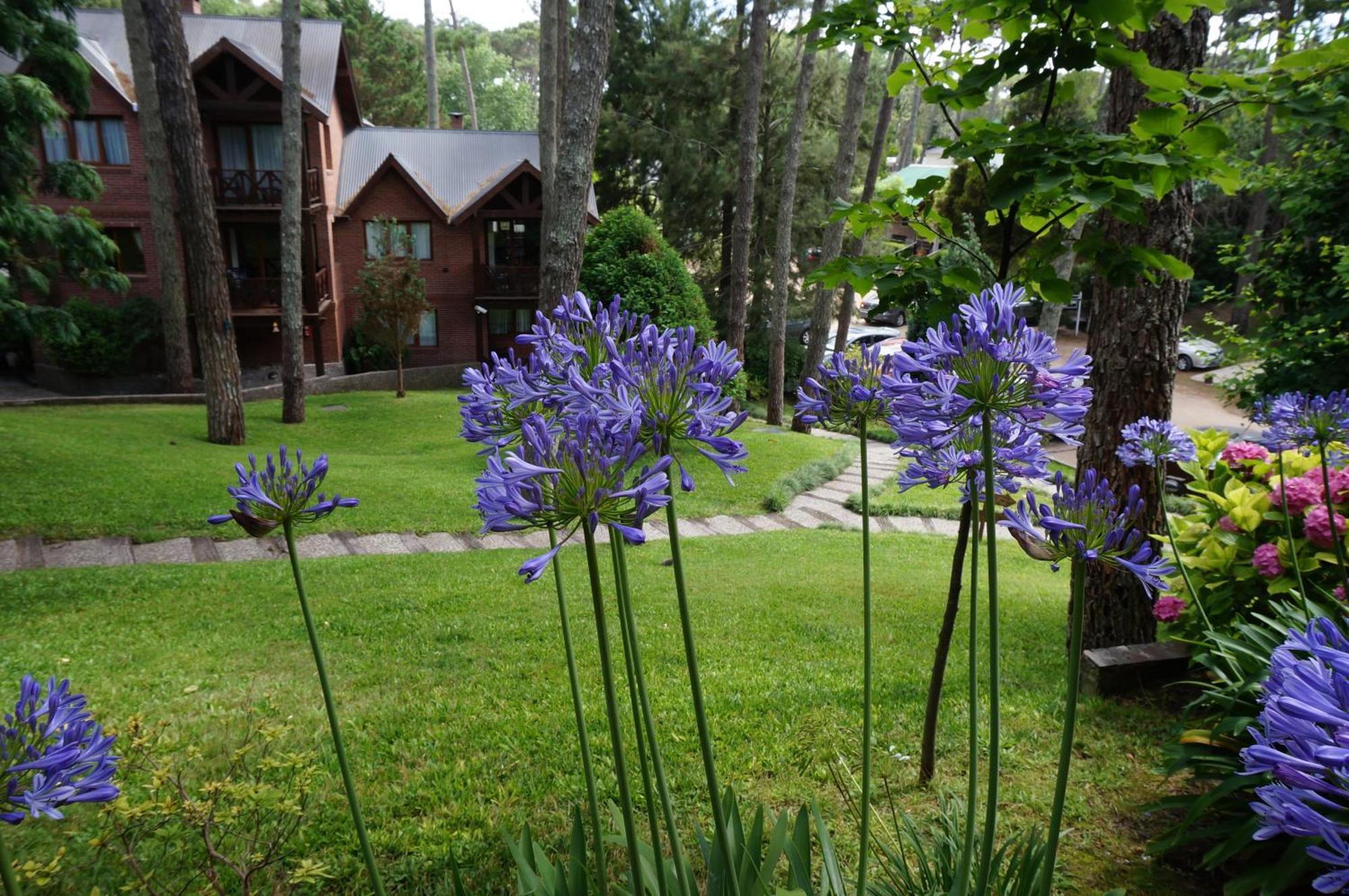 カリロ Refugio Del Bosqueヴィラ エクステリア 写真