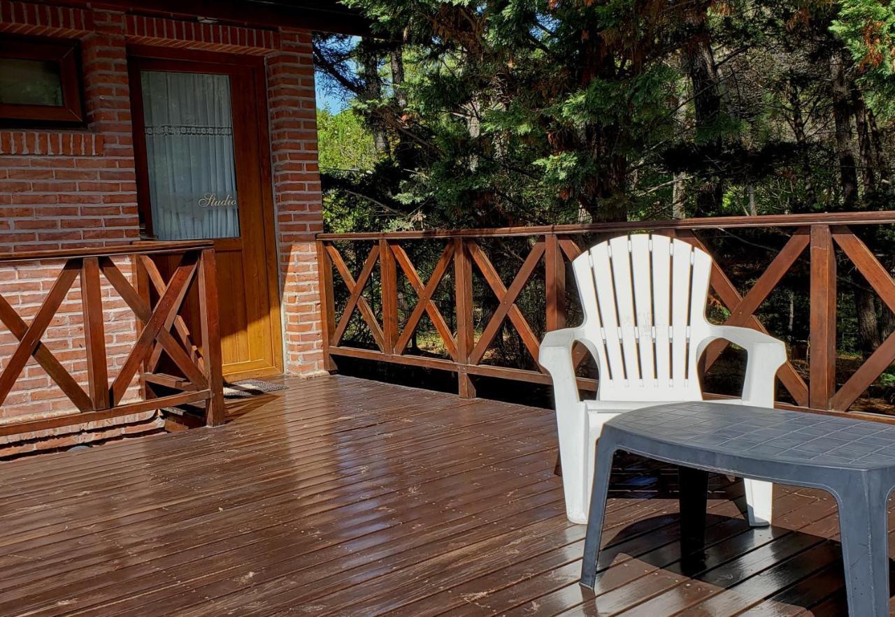 カリロ Refugio Del Bosqueヴィラ エクステリア 写真